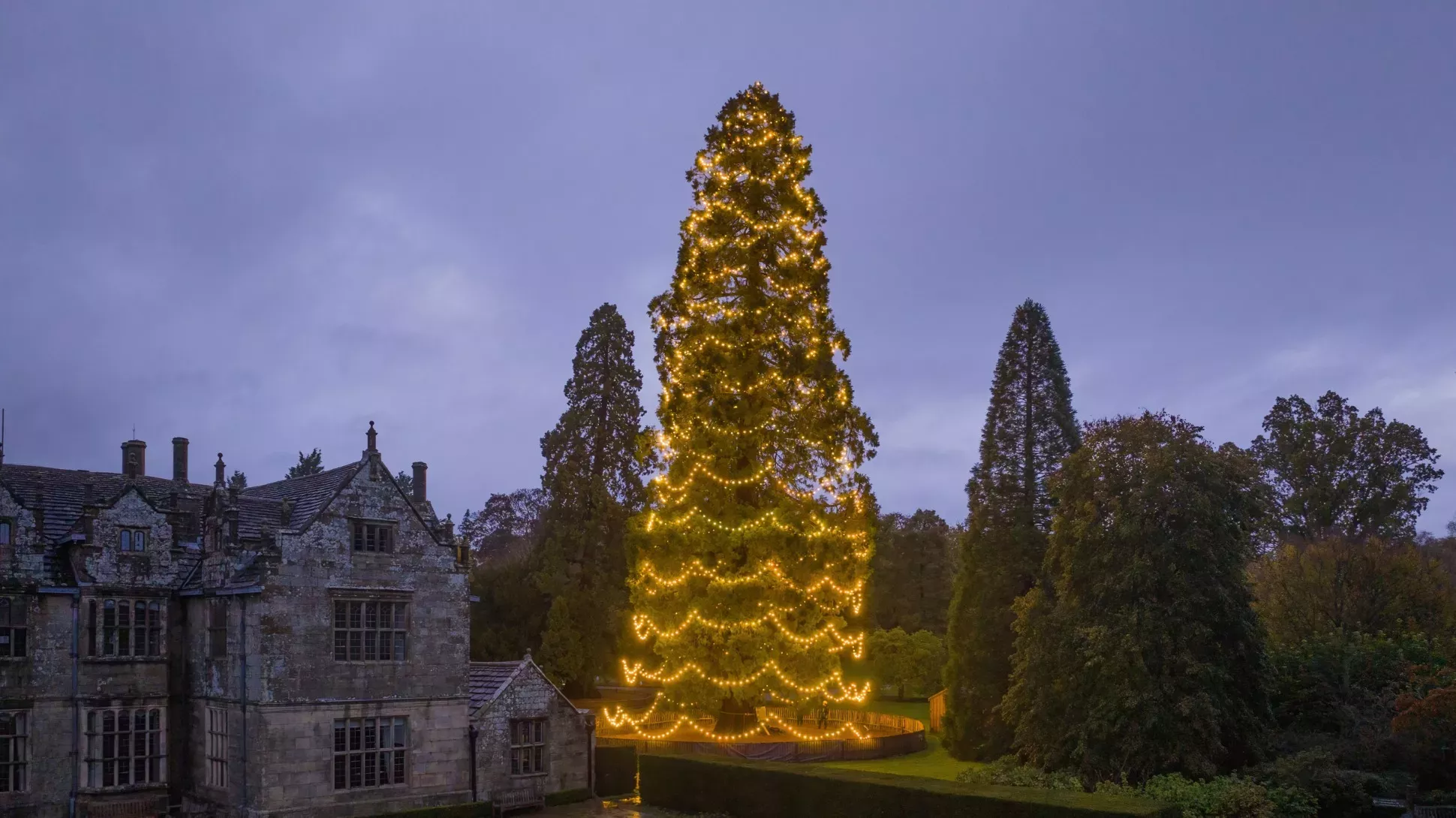 A large christmas tree decorated with lights next to a large stately home