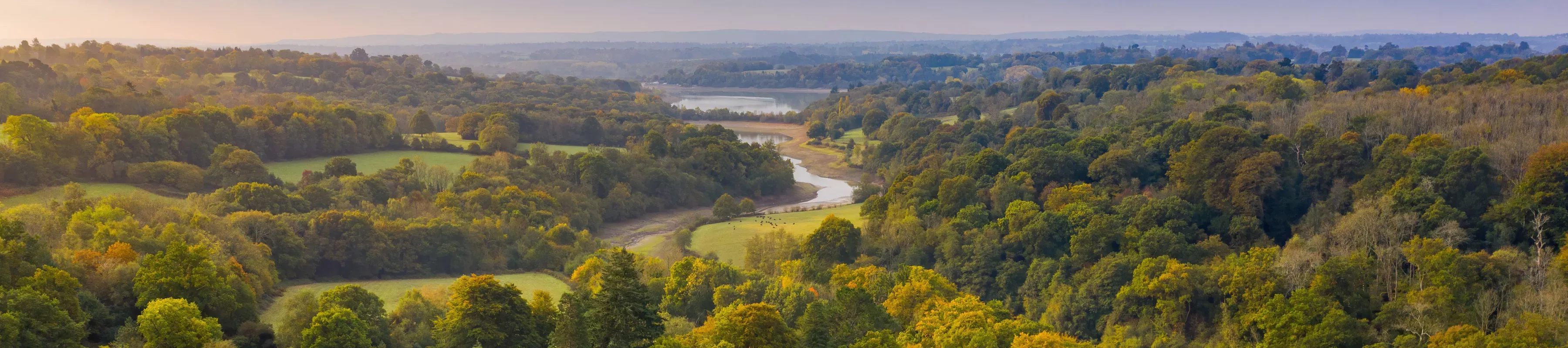 Drone shot of Loder valley at Wakehurst. The woodland is green with a river running through. Th sky is slightly grey and moody