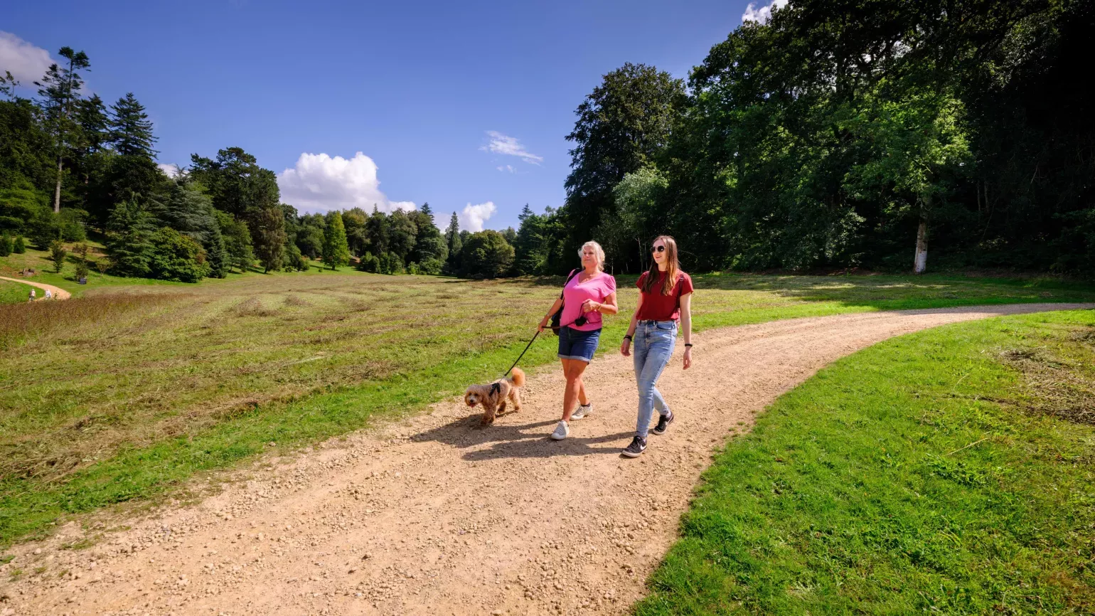 Two women walking a dog through green summer parkland