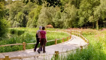 Wakehurst Boardwalks © RBG Kew/Jim Holden