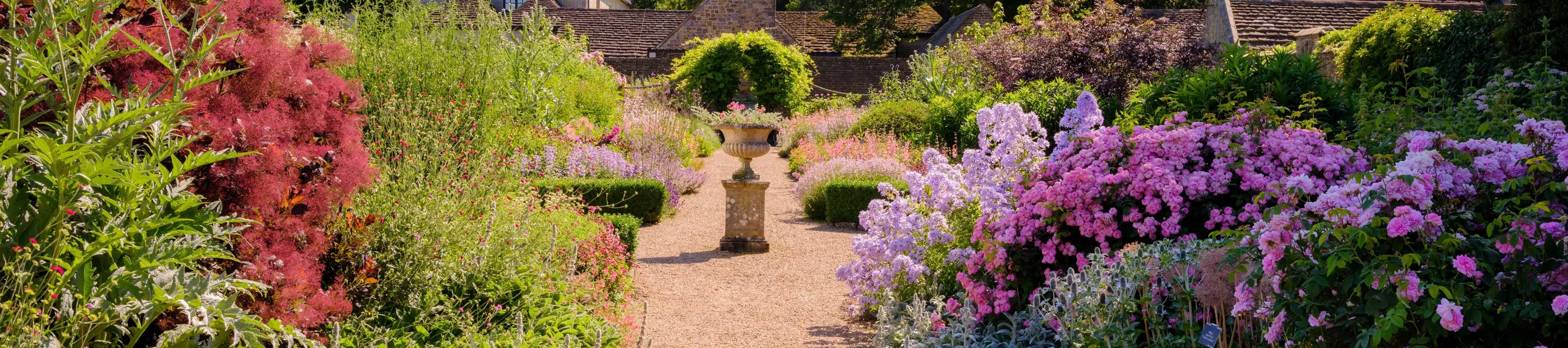 Colourful flowers in the Walled Garden at Wakehurst in summer