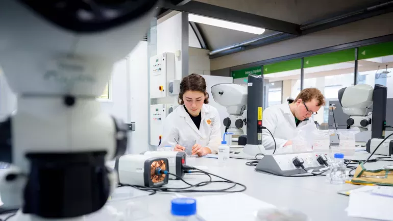 Botanical Propagation Assistant, Eliana Van Der Schraft, is scarifying seed under a microscope to check the quality and to check for infections.