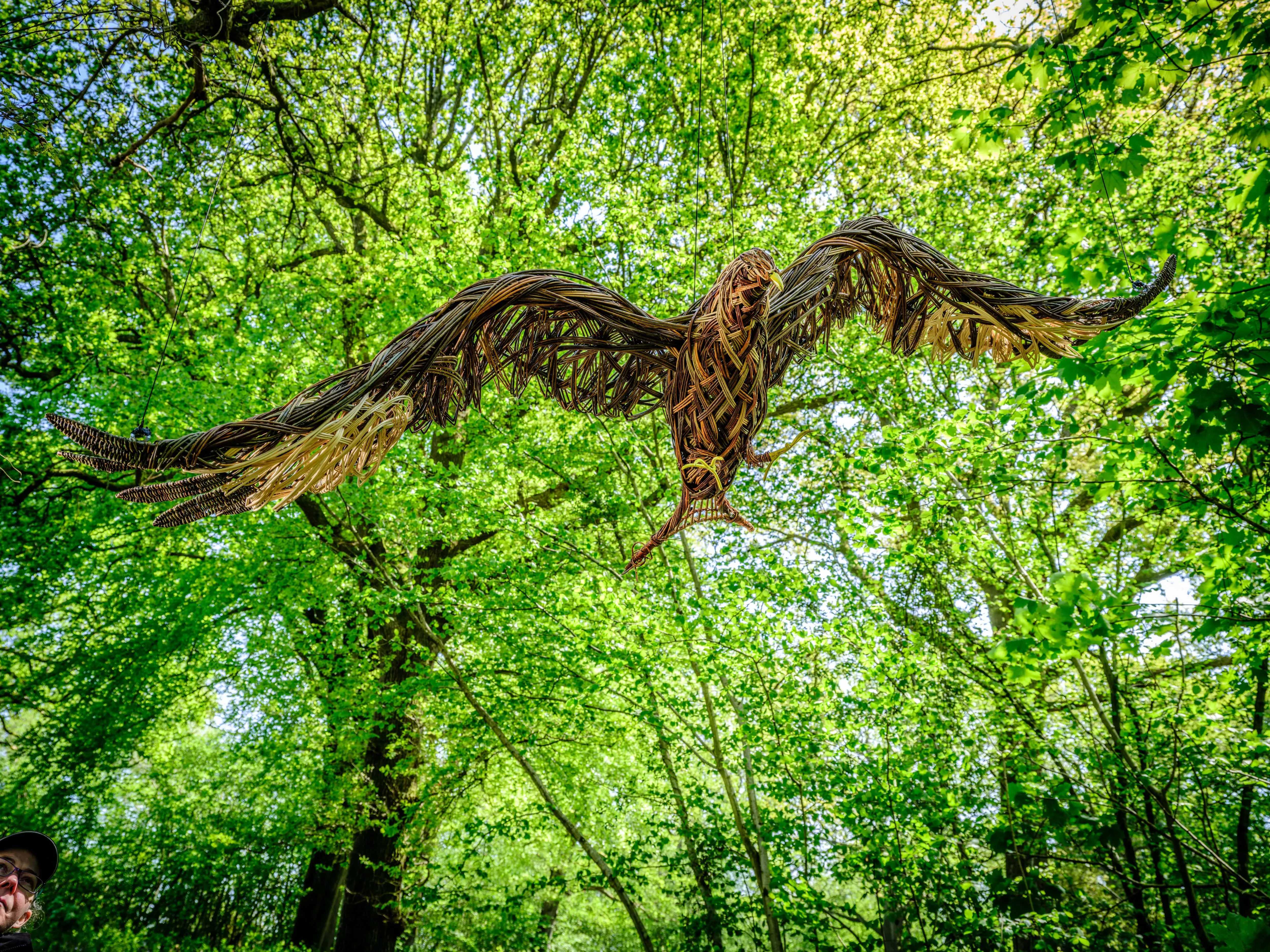 Bird wicker sculpture