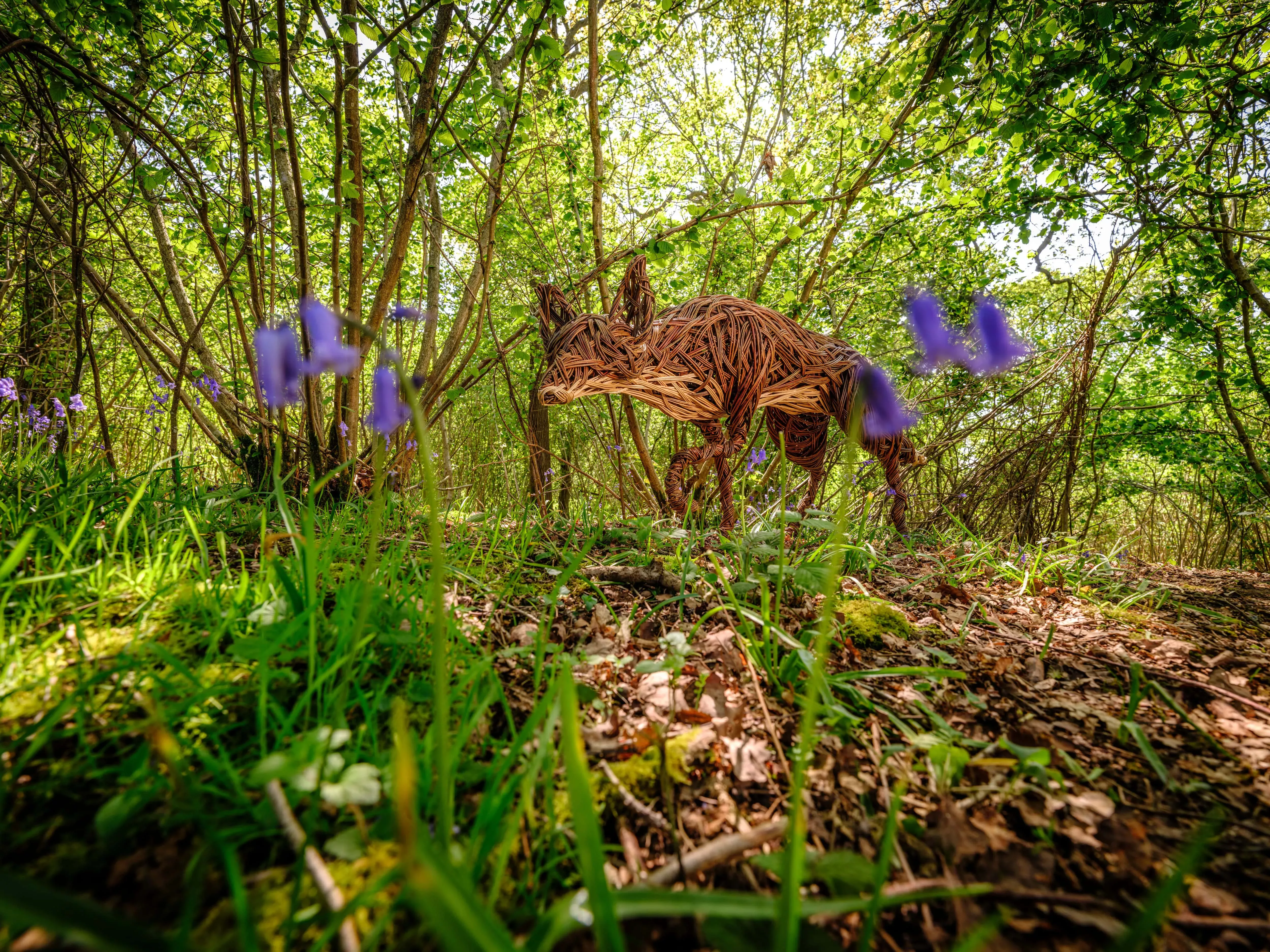 Wicker fox sculpture