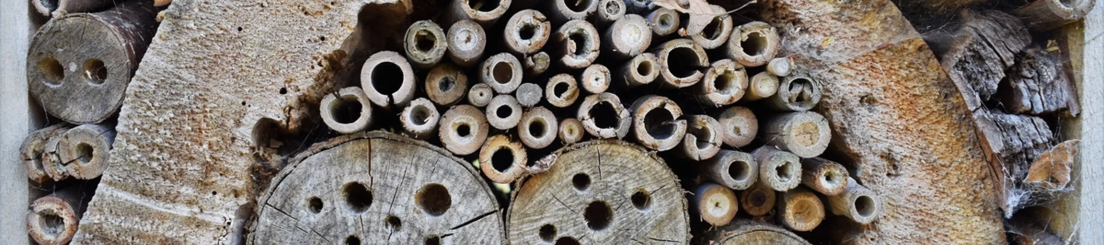 Bug hotel in the Natural Area 