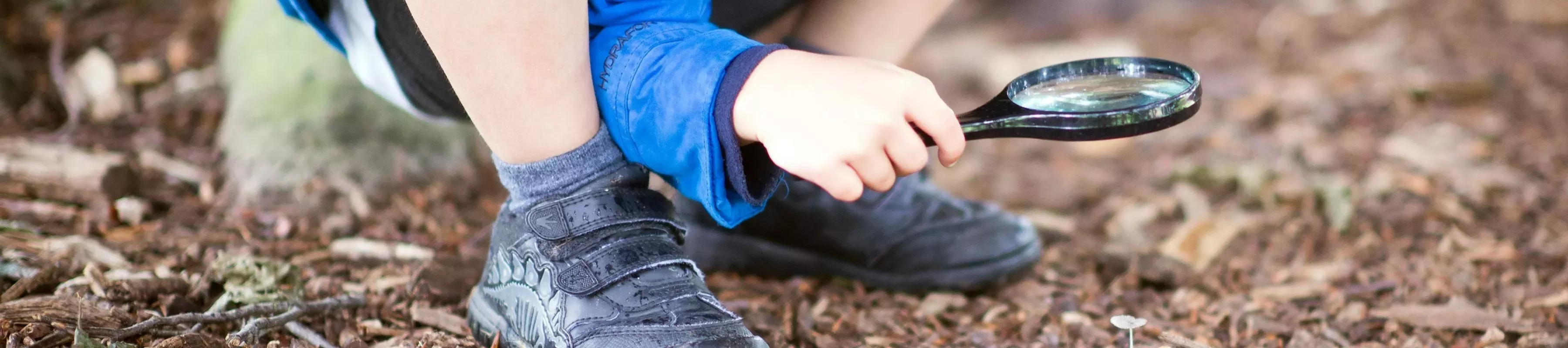 A child examines the ground with a magnifying glass